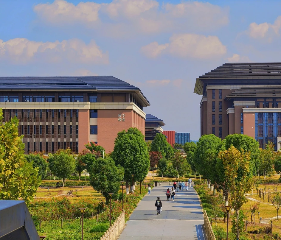 Institutional partnership