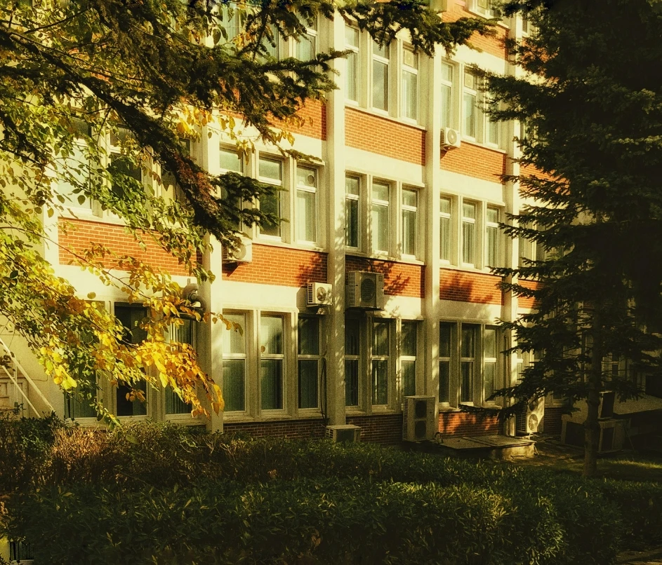 About IAMA Open University