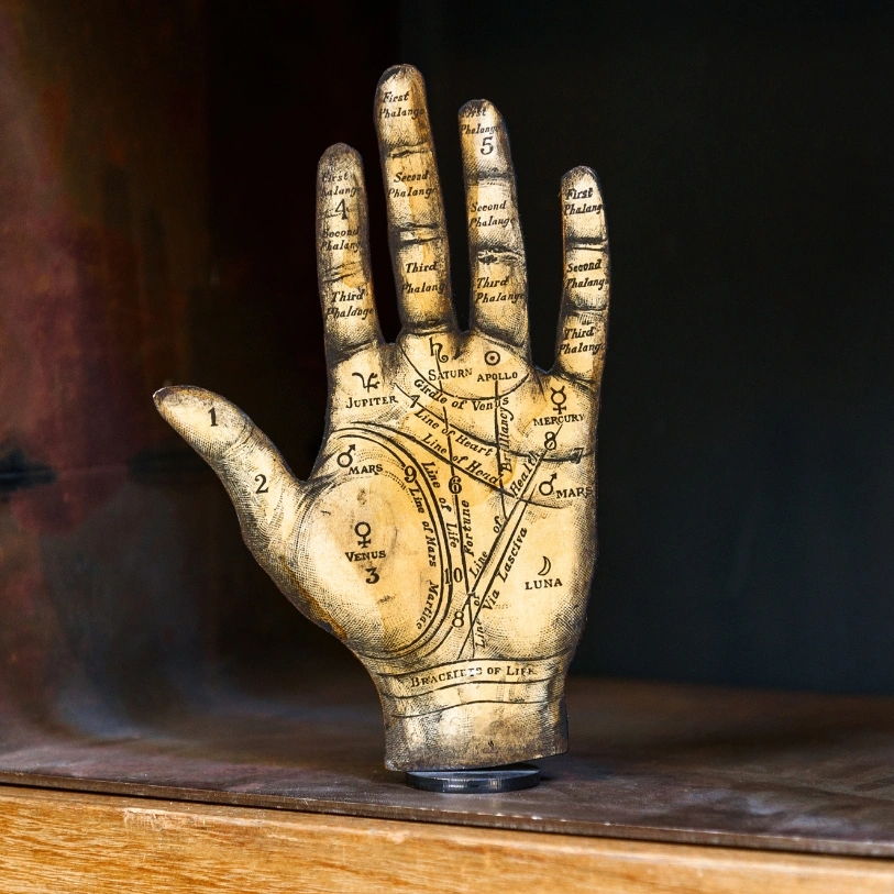 PG Diploma in Palmistry and Face Reading